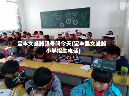 宝丰文峰路限号吗今天(宝丰县文峰路小学招生 *** )