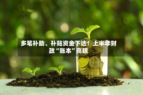 多笔补助、补贴资金下达！上半年财政“账本”亮眼-第3张图片