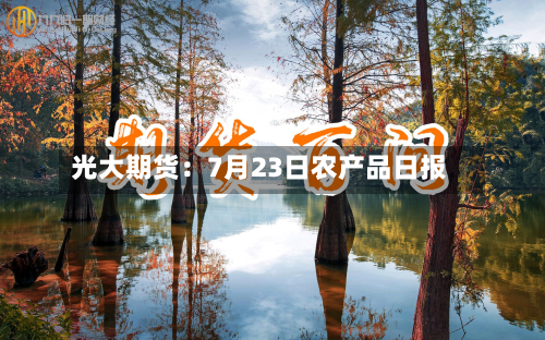 光大期货：7月23日农产品日报-第3张图片