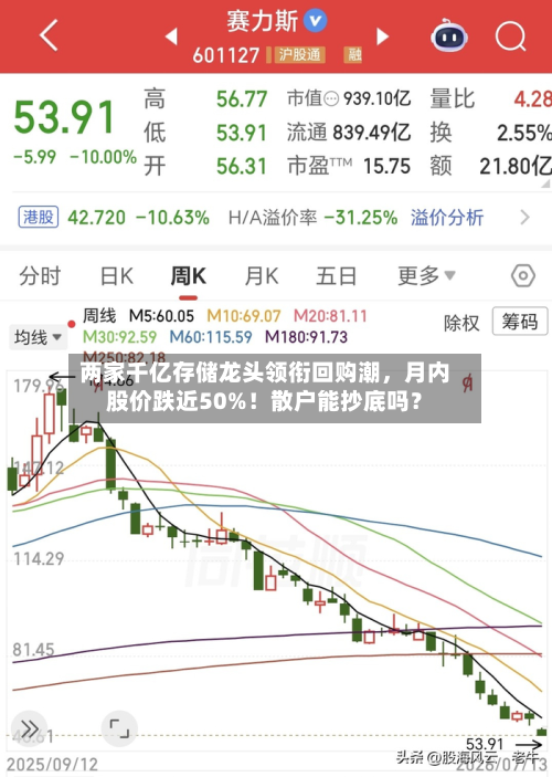 两家千亿存储龙头领衔回购潮	，月内股价跌近50%！散户能抄底吗？-第2张图片