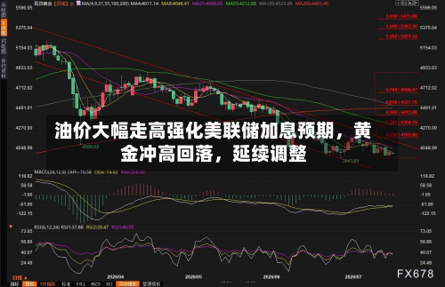 油价大幅走高强化美联储加息预期	，黄金冲高回落，延续调整-第2张图片