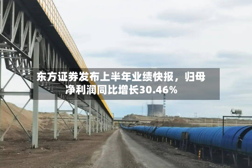 东方证券发布上半年业绩快报	，归母净利润同比增长30.46%-第2张图片
