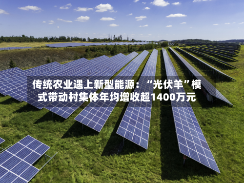 传统农业遇上新型能源：“光伏羊”模式带动村集体年均增收超1400万元-第2张图片