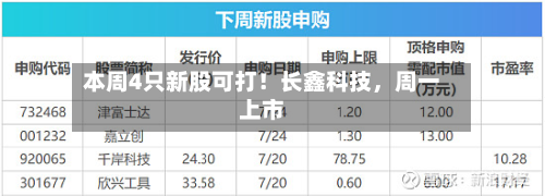 本周4只新股可打！长鑫科技，周一上市-第2张图片