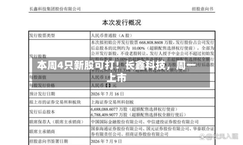 本周4只新股可打！长鑫科技，周一上市-第3张图片