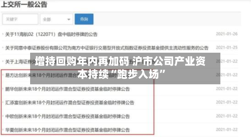 增持回购年内再加码 沪市公司产业资本持续“跑步入场”-第2张图片