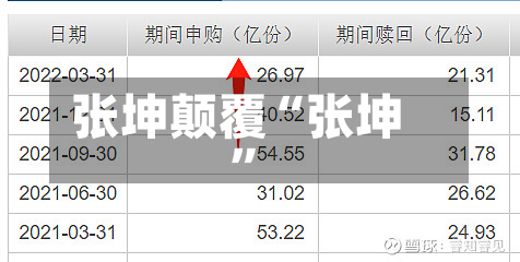 张坤颠覆“张坤”-第2张图片