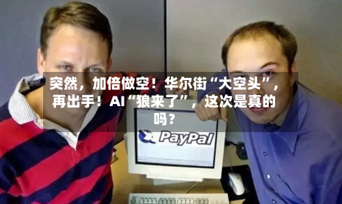 突然	，加倍做空！华尔街“大空头”，再出手！AI“狼来了”，这次是真的吗？-第2张图片