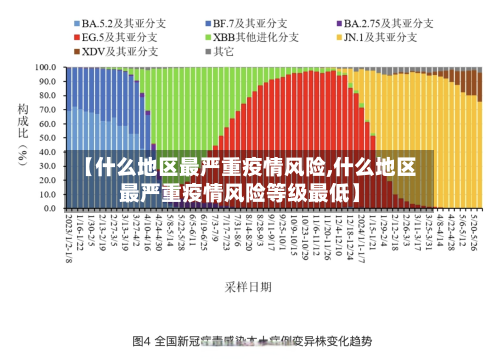 【什么地区最严重疫情风险,什么地区最严重疫情风险等级更低】
