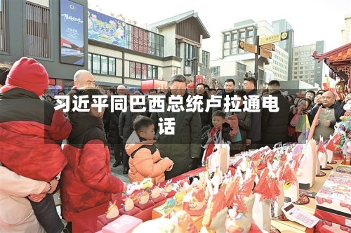  *** 同巴西总统卢拉通 *** 
