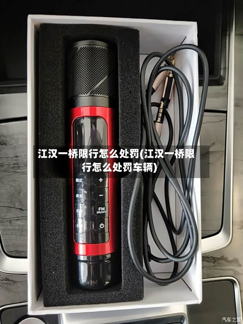 江汉一桥限行怎么处罚(江汉一桥限行怎么处罚车辆)-第3张图片