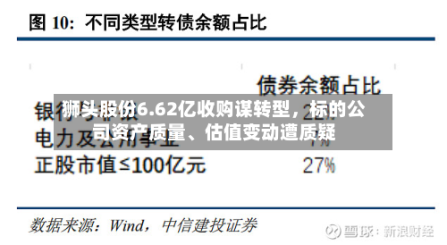 狮头股份6.62亿收购谋转型，标的公司资产质量、估值变动遭质疑-第3张图片