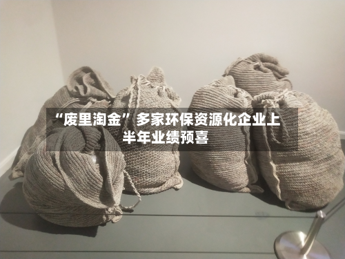 “废里淘金” 多家环保资源化企业上半年业绩预喜-第2张图片