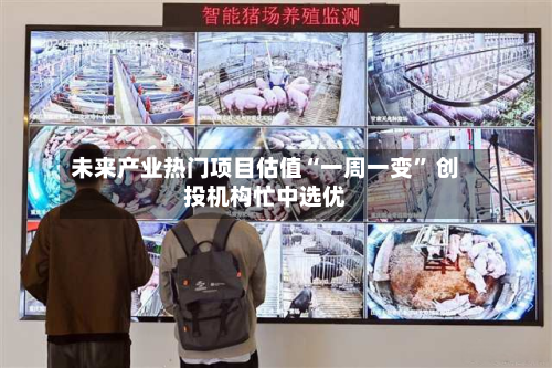 未来产业热门项目估值“一周一变	” 创投机构忙中选优-第2张图片