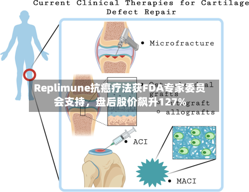 Replimune抗癌疗法获FDA专家委员会支持	，盘后股价飙升127%-第2张图片