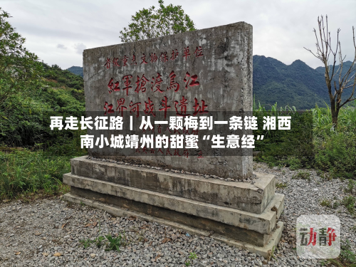 再走长征路｜从一颗梅到一条链 湘西南小城靖州的甜蜜“生意经”-第2张图片