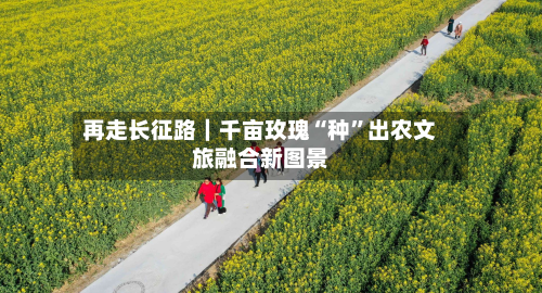 再走长征路｜千亩玫瑰“种	”出农文旅融合新图景-第2张图片