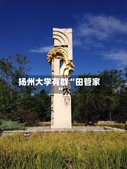 扬州大学有群“田管家”-第2张图片