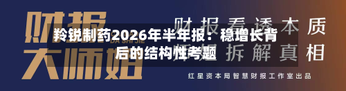 羚锐制药2026年半年报：稳增长背后的结构性考题-第1张图片