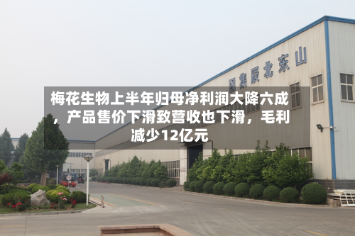 梅花生物上半年归母净利润大降六成，产品售价下滑致营收也下滑，毛利减少12亿元-第2张图片