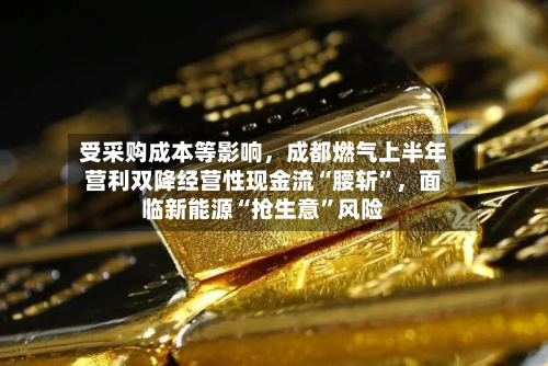 受采购成本等影响，成都燃气上半年营利双降经营性现金流“腰斩”，面临新能源“抢生意	”风险-第2张图片