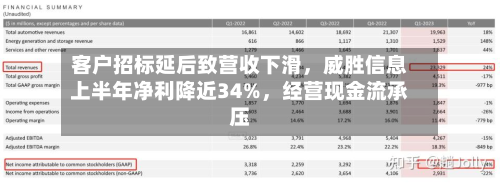 客户招标延后致营收下滑，威胜信息上半年净利降近34%	，经营现金流承压-第3张图片