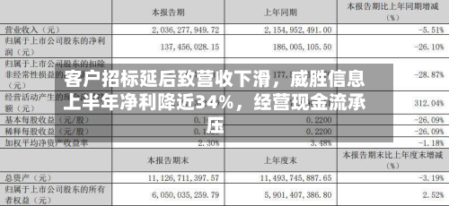客户招标延后致营收下滑	，威胜信息上半年净利降近34%，经营现金流承压-第2张图片