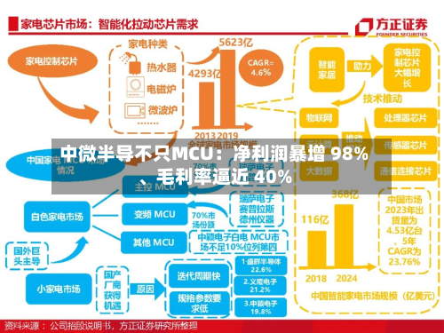 中微半导不只MCU：净利润暴增 98%、毛利率逼近 40%-第2张图片