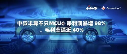中微半导不只MCU：净利润暴增 98%、毛利率逼近 40%-第3张图片