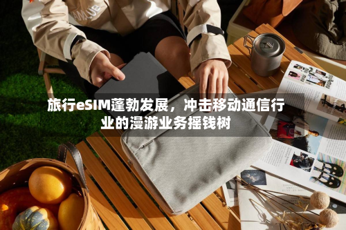 旅行eSIM蓬勃发展，冲击移动通信行业的漫游业务摇钱树-第2张图片