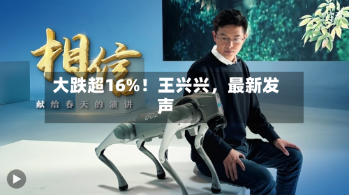 大跌超16%！王兴兴，最新发声-第3张图片