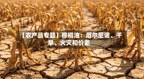 【农产品专题】棕榈油：厄尔尼诺、干旱	、火灾和价差-第1张图片