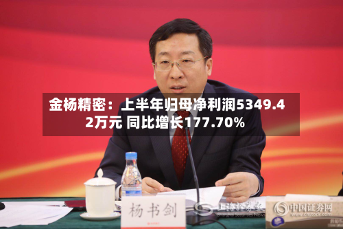 金杨精密：上半年归母净利润5349.42万元 同比增长177.70%