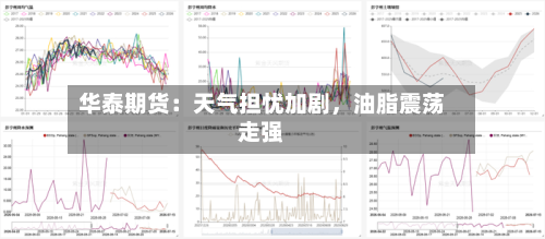华泰期货：天气担忧加剧，油脂震荡走强-第1张图片