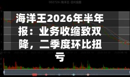 海洋王2026年半年报：业务收缩致双降，二季度环比扭亏-第2张图片