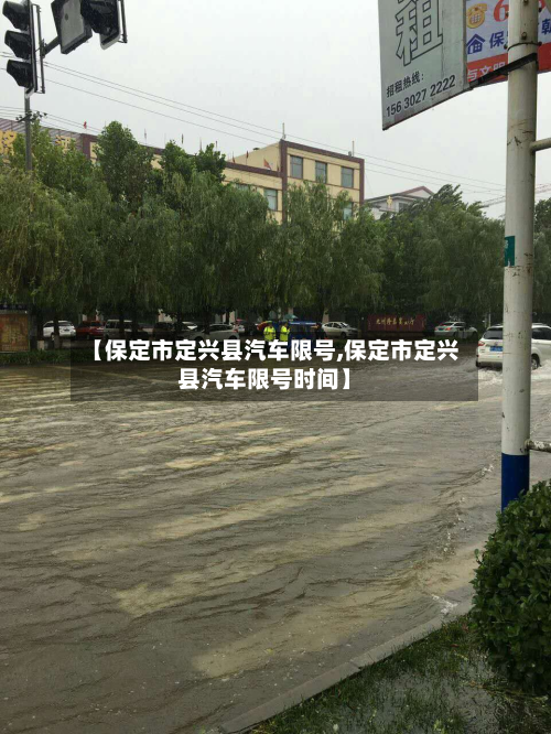 【保定市定兴县汽车限号,保定市定兴县汽车限号时间】-第3张图片