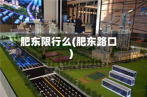 肥东限行么(肥东路口)-第1张图片