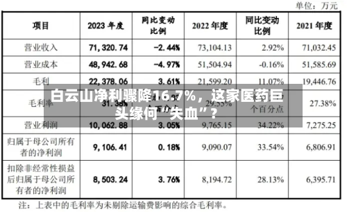 白云山净利骤降16.7%，这家医药巨头缘何“失血”？-第2张图片