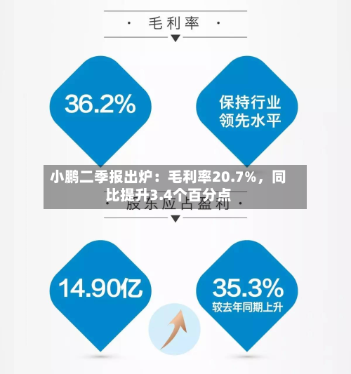 小鹏二季报出炉：毛利率20.7%	，同比提升3.4个百分点-第3张图片