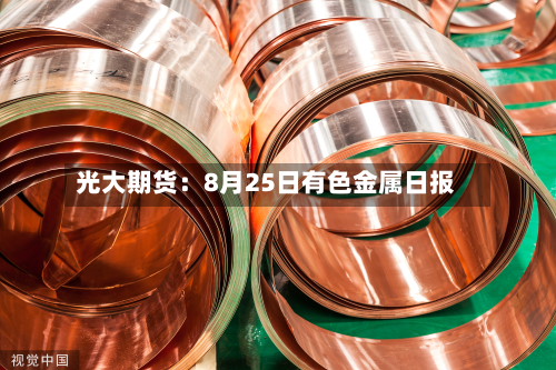 光大期货：8月25日有色金属日报-第3张图片