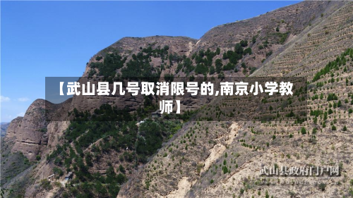 【武山县几号取消限号的,南京小学教师】-第1张图片