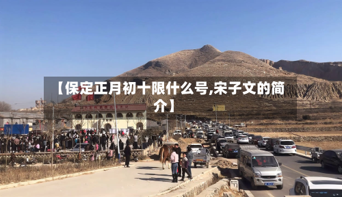 【保定正月初十限什么号,宋子文的简介】