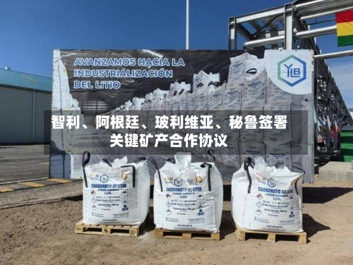 智利、阿根廷、玻利维亚	、秘鲁签署关键矿产合作协议-第2张图片