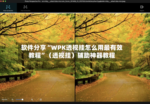 软件分享“WPK透视挂怎么用最有效教程”（透视挂）辅助神器教程-第2张图片