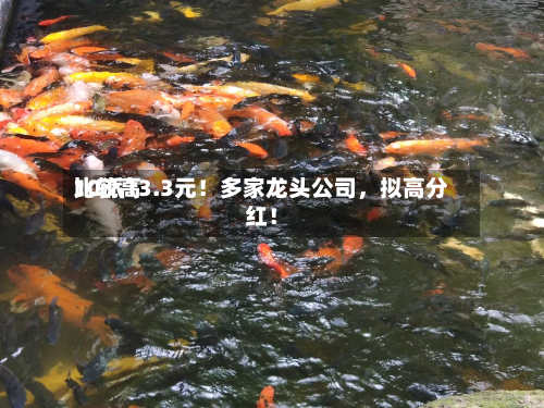 比较高10派13.3元！多家龙头公司，拟高分红！-第3张图片