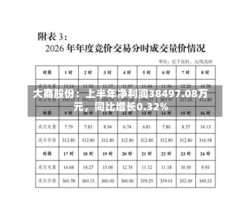 大商股份：上半年净利润38497.08万元，同比增长0.32%-第3张图片