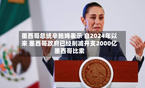 墨西哥总统辛鲍姆表示 自2024年以来 墨西哥政府已经削减开支2000亿墨西哥比索-第2张图片