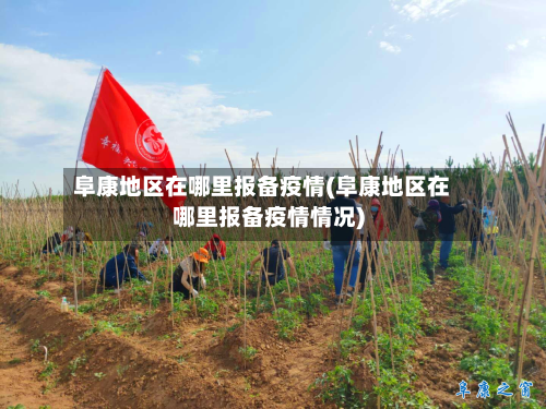 阜康地区在哪里报备疫情(阜康地区在哪里报备疫情情况)