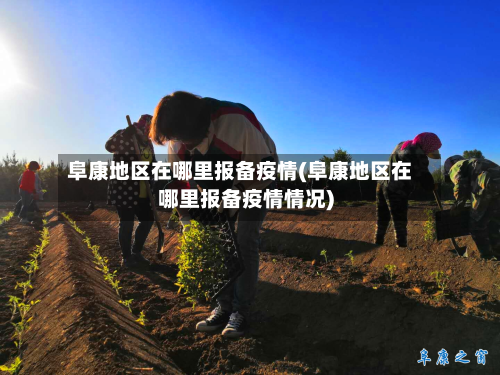 阜康地区在哪里报备疫情(阜康地区在哪里报备疫情情况)-第3张图片