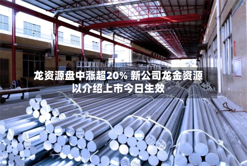 龙资源盘中涨超20% 新公司龙金资源以介绍上市今日生效-第1张图片